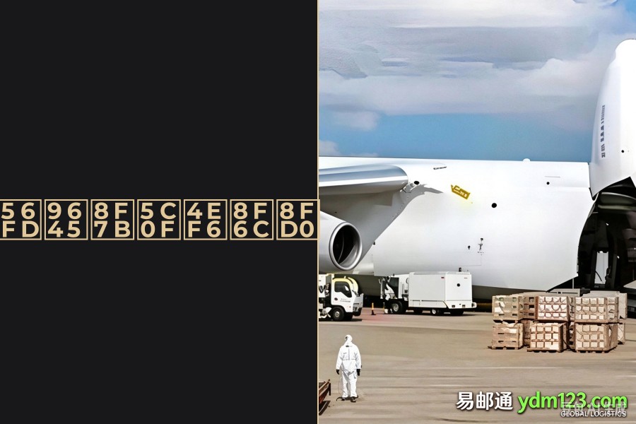 国际轻小件转运